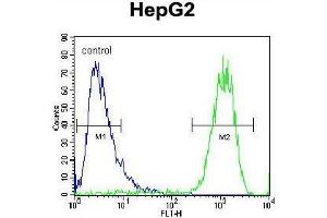ATP5H Antibody (Center) flow cytometric analysis of HepG2 cells (right histogram) compared to a negative control cell (left histogram). (ATP Synthase Subunit D (AA 75-105), (Middle Region), (Subunit D) anticorps)