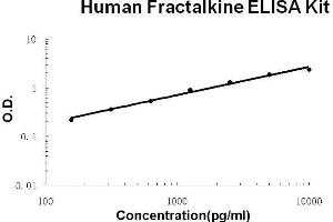 Human Fractalkine/CX3CL1 PicoKine ELISA Kit standard curve (CX3CL1 Kit ELISA)