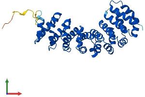 AlphaFold protein structure predicition of Mouse Recombinant Rsph14 Protein, UniprotID Q9D3W1