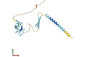 AlphaFold protein structure predicition of Mouse Recombinant Cideb Protein, UniprotID O70303