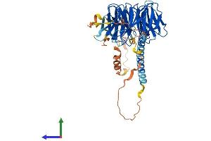 AlphaFold protein structure predicition of Human Recombinant POC1B Protein, UniprotID Q8TC44
