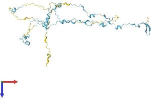 AlphaFold protein structure predicition of Mouse Recombinant Saxo2 Protein, UniprotID Q8BQB6