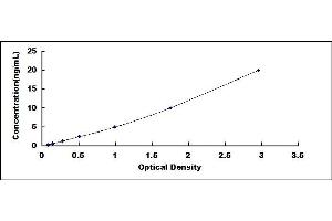 Typical standard curve (Asparagine Synthetase Kit ELISA)
