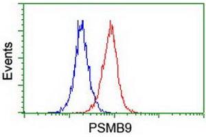Image no. 3 for anti-Proteasome (Prosome, Macropain) Subunit, beta Type, 9 (Large Multifunctional Peptidase 2) (PSMB9) (AA 21-219) antibody (ABIN1491192) (PSMB9 anticorps  (AA 21-219))