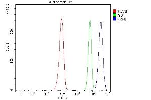Flow Cytometry analysis of Hela cells using anti-RRP8 antibody (ABIN7600459).