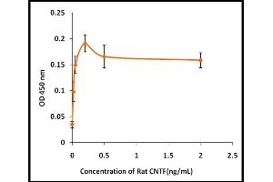 Activity Assay (AcA) image for Ciliary Neurotrophic Factor (CNTF) (Active) protein (ABIN5509412) (CNTF Protéine)