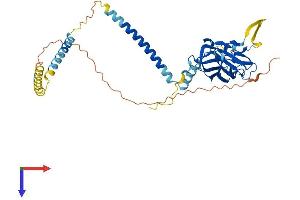 AlphaFold protein structure predicition of Human Recombinant SUN5 Protein, UniprotID Q8TC36