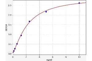 Typical standard curve (CEACAM1 Kit ELISA)