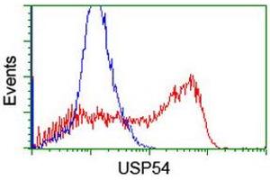 Image no. 2 for anti-Ubiquitin Specific Peptidase 54 (USP54) (AA 358-700) antibody (ABIN1491453) (USP54 anticorps  (AA 358-700))