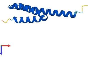 AlphaFold protein structure predicition of Mouse Recombinant Etfrf1 Protein, UniprotID Q91V16