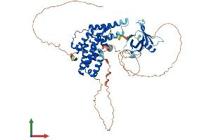 AlphaFold protein structure predicition of Human Recombinant RALGPS1 Protein, UniprotID Q5JS13