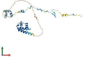 AlphaFold protein structure predicition of Human Recombinant CUEDC2 Protein, UniprotID Q9H467