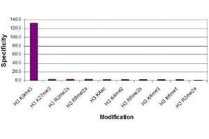 Histone H3 trimethyl Lys9 antibody specificity tested by peptide array analysis.