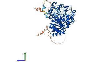 AlphaFold protein structure predicition of Mouse Recombinant Ddx6 Protein, UniprotID P54823