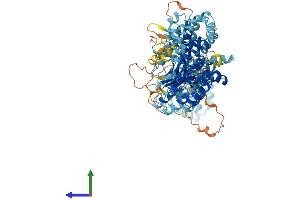 AlphaFold protein structure predicition of Mouse Recombinant Nlrp6 Protein, UniprotID Q91WS2