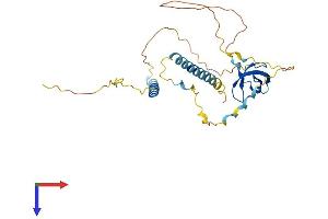 AlphaFold protein structure predicition of Mouse Recombinant Smn1 Protein, UniprotID P97801