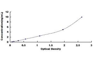 Calmodulin Regulated Spectrin Associated Protein 1 (CAMSAP1) ELISA Kit