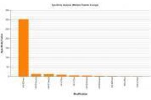 Histone H4K20me1 antibody specificity tested by peptide array analysis.
