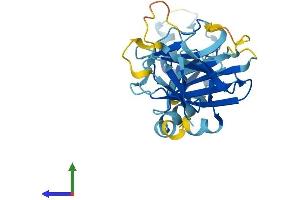 AlphaFold protein structure predicition of Human Recombinant RFPL4B Protein, UniprotID Q6ZWI9