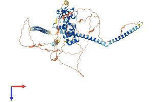 AlphaFold protein structure predicition of Mouse Recombinant Skil Protein, UniprotID Q60665
