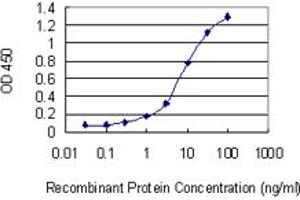 Detection limit for recombinant GST tagged CNOT3 is 0. (CNOT3 anticorps  (AA 1-100))
