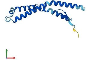 AlphaFold protein structure predicition of Human Recombinant CNEP1R1 Protein, UniprotID Q8N9A8