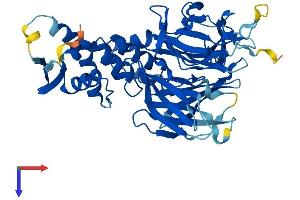AlphaFold protein structure predicition of Mouse Recombinant Kbtbd13 Protein, UniprotID Q8C828