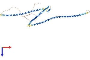 AlphaFold protein structure predicition of Human Recombinant MIPOL1 Protein, UniprotID Q8TD10