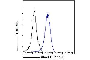 (ABIN184863) Flow cytometric analysis of paraformaldehyde fixed HeLa cells (blue line), permeabilized with 0. (RAD51AP1 anticorps  (C-Term))