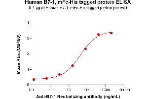 ELISA plate pre-coated by 1 μg/mL (100 μL/well) Human B7-1, mFc-His tagged protein  (ABIN6964082, ABIN7042419 and ABIN7042420) can bind  anti-B7-1 monoclonal antibody,Rabbit mAb clone: DM111 in a linear range of 0.