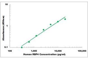 Representative Standard Curve (RBP4 Kit ELISA)