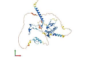 AlphaFold protein structure predicition of Mouse Recombinant Dpf1 Protein, UniprotID Q9QX66