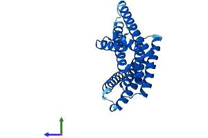 AlphaFold protein structure predicition of Human Recombinant YWHAB Protein, UniprotID P31946