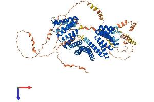 AlphaFold protein structure predicition of Human Recombinant GPSM1 Protein, UniprotID Q86YR5
