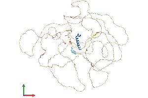 AlphaFold protein structure predicition of Mouse Recombinant Apobr Protein, UniprotID Q8VBT6