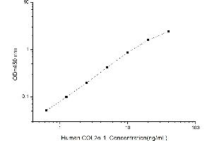 Typical standard curve (COL2A1 Kit ELISA)