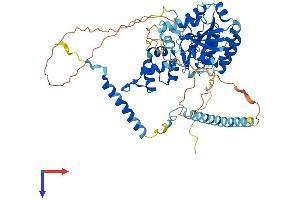 AlphaFold protein structure predicition of Human Recombinant GNL3 Protein, UniprotID Q9BVP2