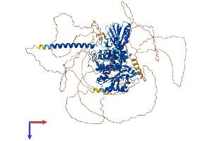 AlphaFold protein structure predicition of Human Recombinant MTMR3 Protein, UniprotID Q13615