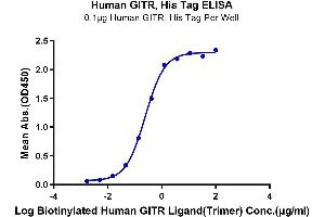 Immobilized Human GITR, His Tag at 1 μg/mL (100 μL/Well).