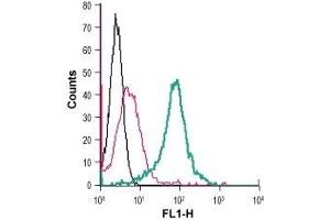 Cell surface detection of VPAC1 in live intact mouse J774 macrophage cells: (black line) Cells.