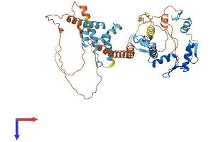 AlphaFold protein structure predicition of Human Recombinant ZNF165 Protein, UniprotID P49910