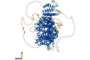AlphaFold protein structure predicition of Human Recombinant STAG1 Protein, UniprotID Q8WVM7
