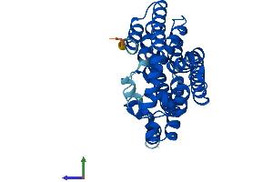 AlphaFold protein structure predicition of Mouse Recombinant Ggps1 Protein, UniprotID Q9WTN0