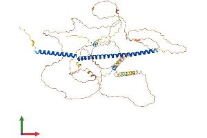 AlphaFold protein structure predicition of Human Recombinant KIZ Protein, UniprotID Q2M2Z5