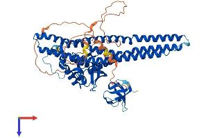 AlphaFold protein structure predicition of Mouse Recombinant Snx9 Protein, UniprotID Q91VH2