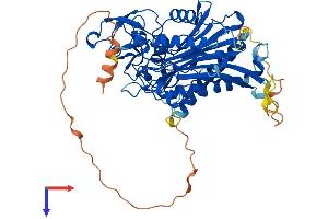 AlphaFold protein structure predicition of Mouse Recombinant Ppm1j Protein, UniprotID Q149T7