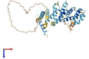 AlphaFold protein structure predicition of Mouse Recombinant Mei4 Protein, UniprotID Q8BRM6