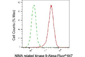 Flow cytometric analysis of NIMA related kinase 9 expression in HeLa cells using NIMA related kinase 9 antibody (ABIN7799601), 1:2,000).
