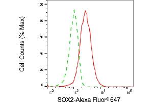 Flow cytometric analysis of SOX2 expression in HAP-1 cells using SOX2 antibody (ABIN7800431), 1:2,000). (SOX2 anticorps)