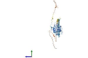 AlphaFold protein structure predicition of Human Recombinant PCYT1B Protein, UniprotID Q9Y5K3